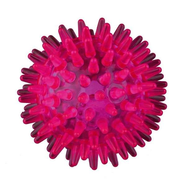 Trixie Blink-Igelball aus TPR - 5 cm
