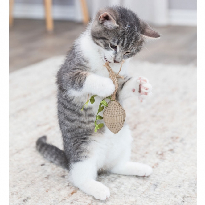 Trixie Katzenspielzeug Zapfen aus Pappe