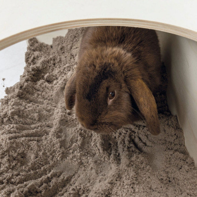 Trixie Buddelkiste für Kaninchen