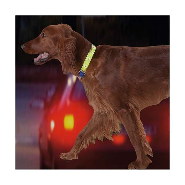 Karlie Safety Light - blinkendes Sicherheitshalsband - L