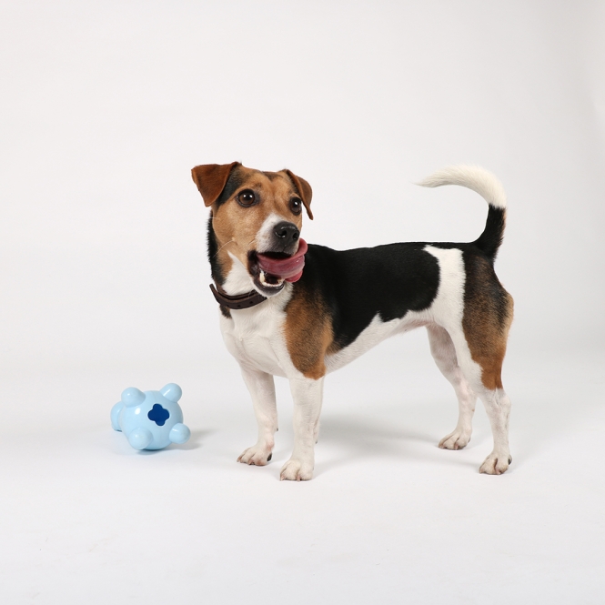 EBI Petit Welpen-Snackspielzeug Gigi - Rosa