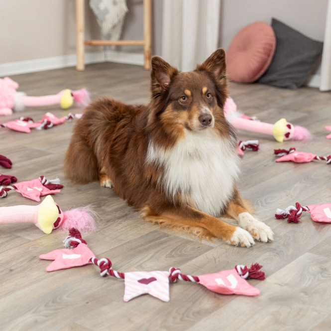 Trixie Hundespielzeug Valentines Tau