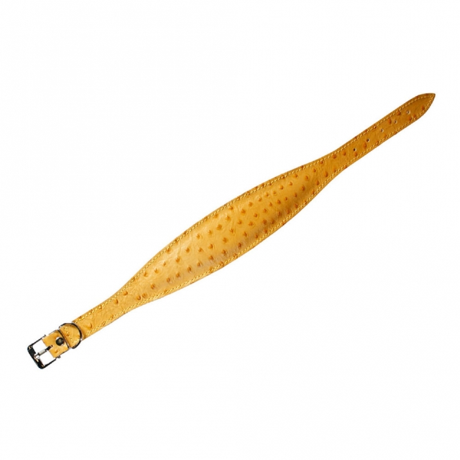Karlie Windhund-Halsband Ventus - 55cm / Gelb