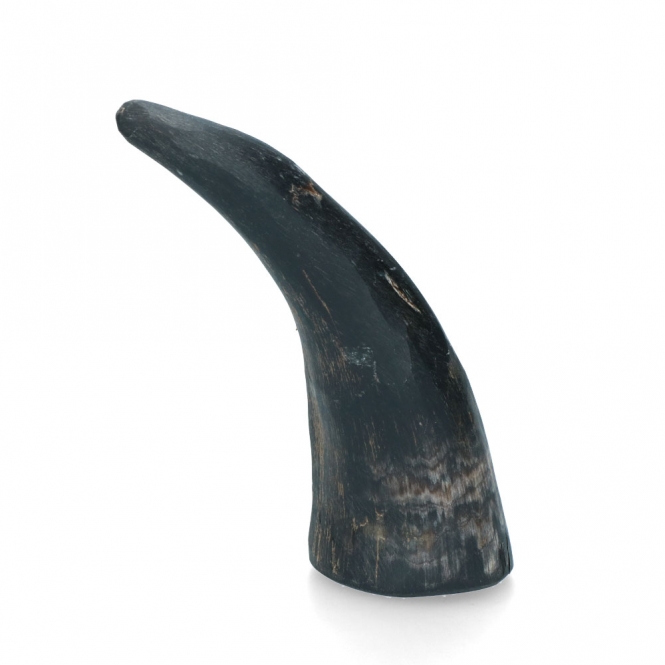 Viking Whole Horn - S