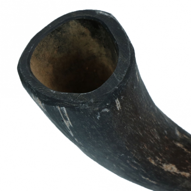 Viking Whole Horn - L