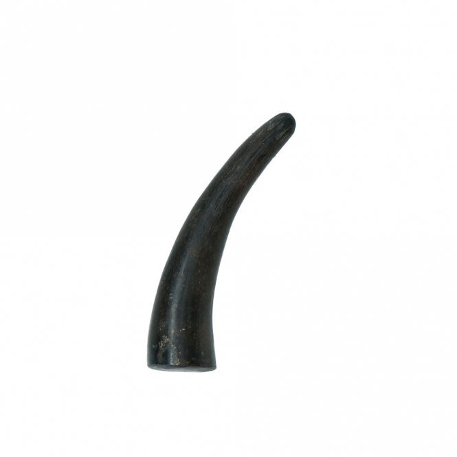 Viking whole Horn solid - S