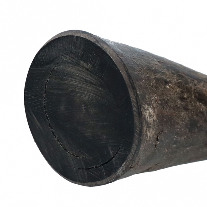 Viking whole Horn solid - S